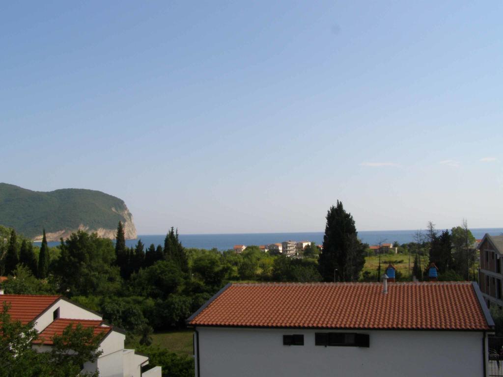 Hotel Wellness & Spa Angelo Gabriel Petrovac Værelse billede