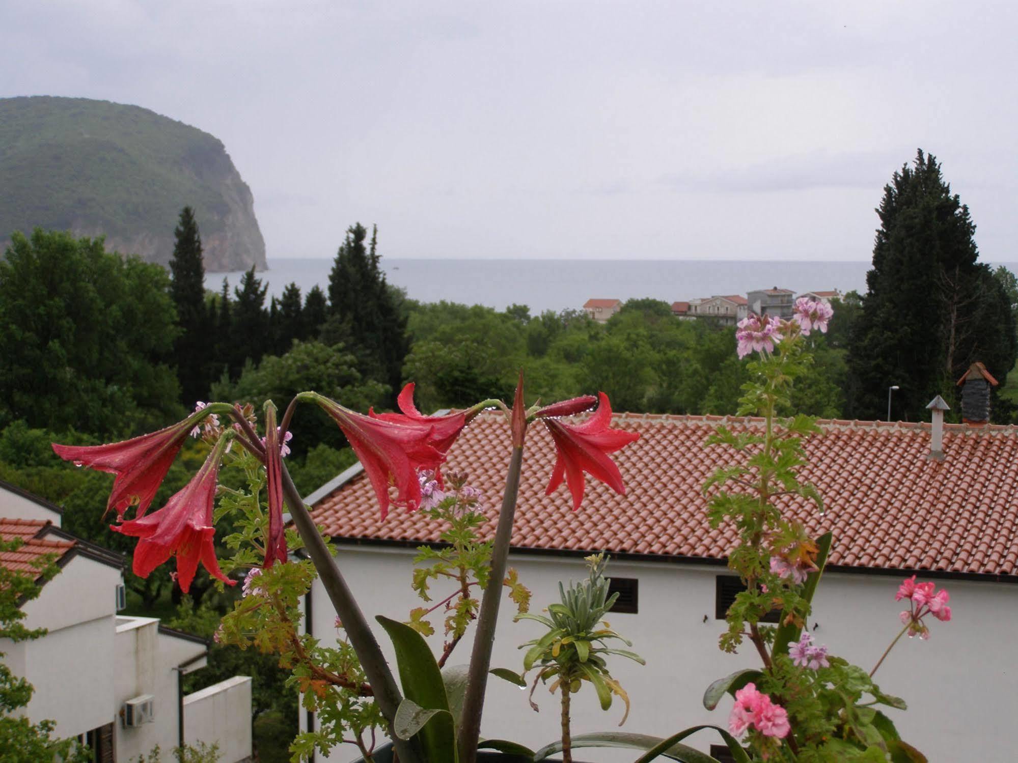 Hotel Wellness & Spa Angelo Gabriel Petrovac Eksteriør billede